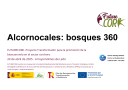 Documento