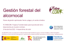 Documento