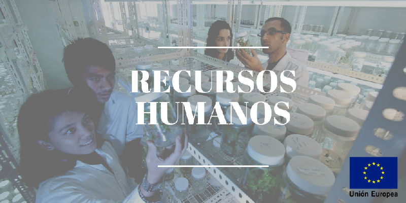 Recursos humanos