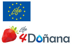 Life 4 Doñana