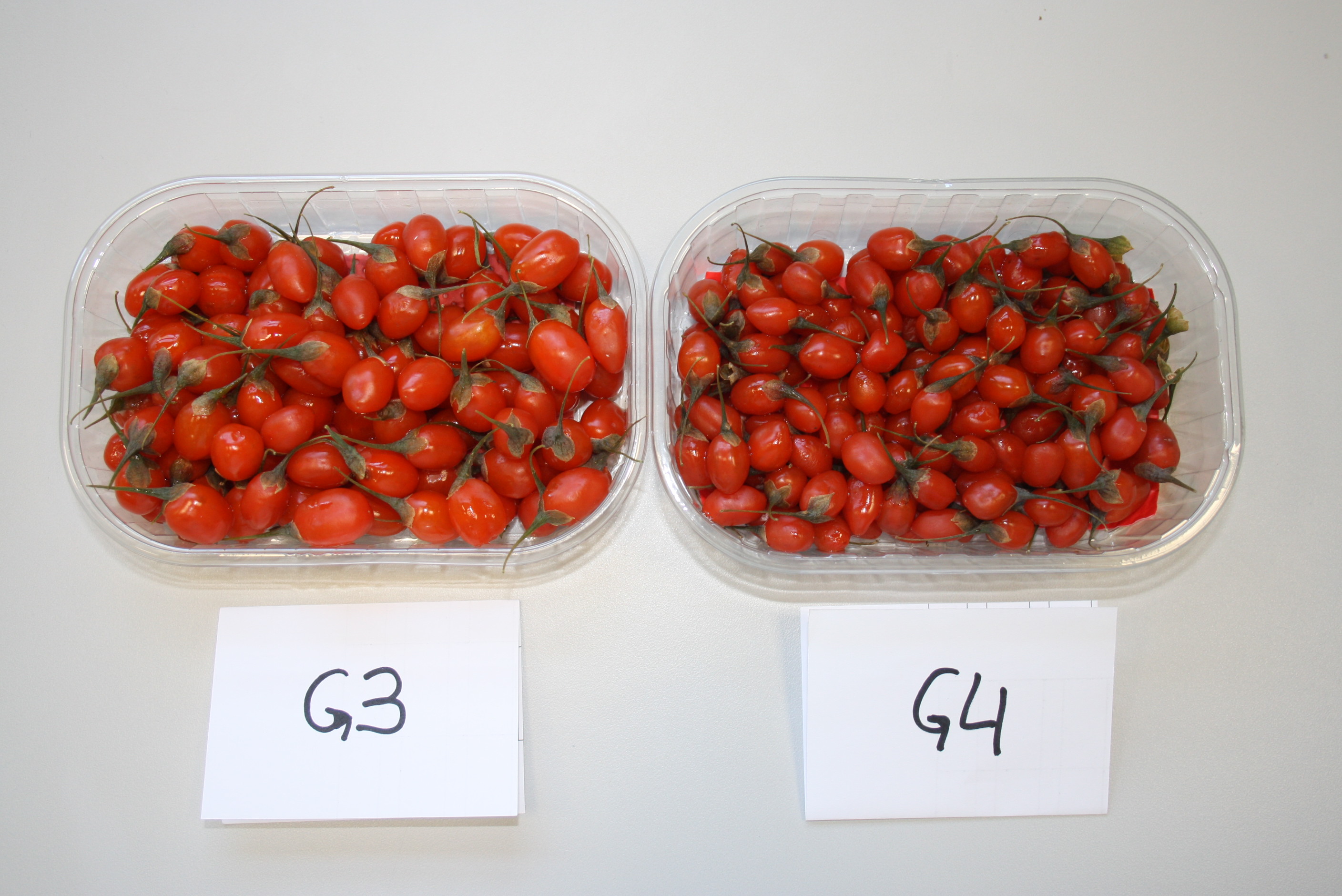 Goji berry varieties