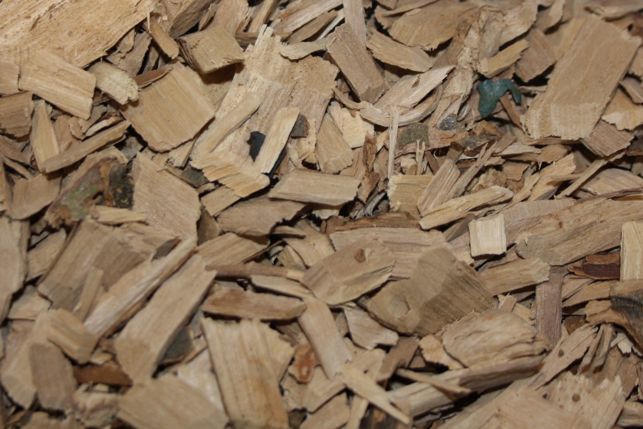 Biomass, biogas and bioproducts