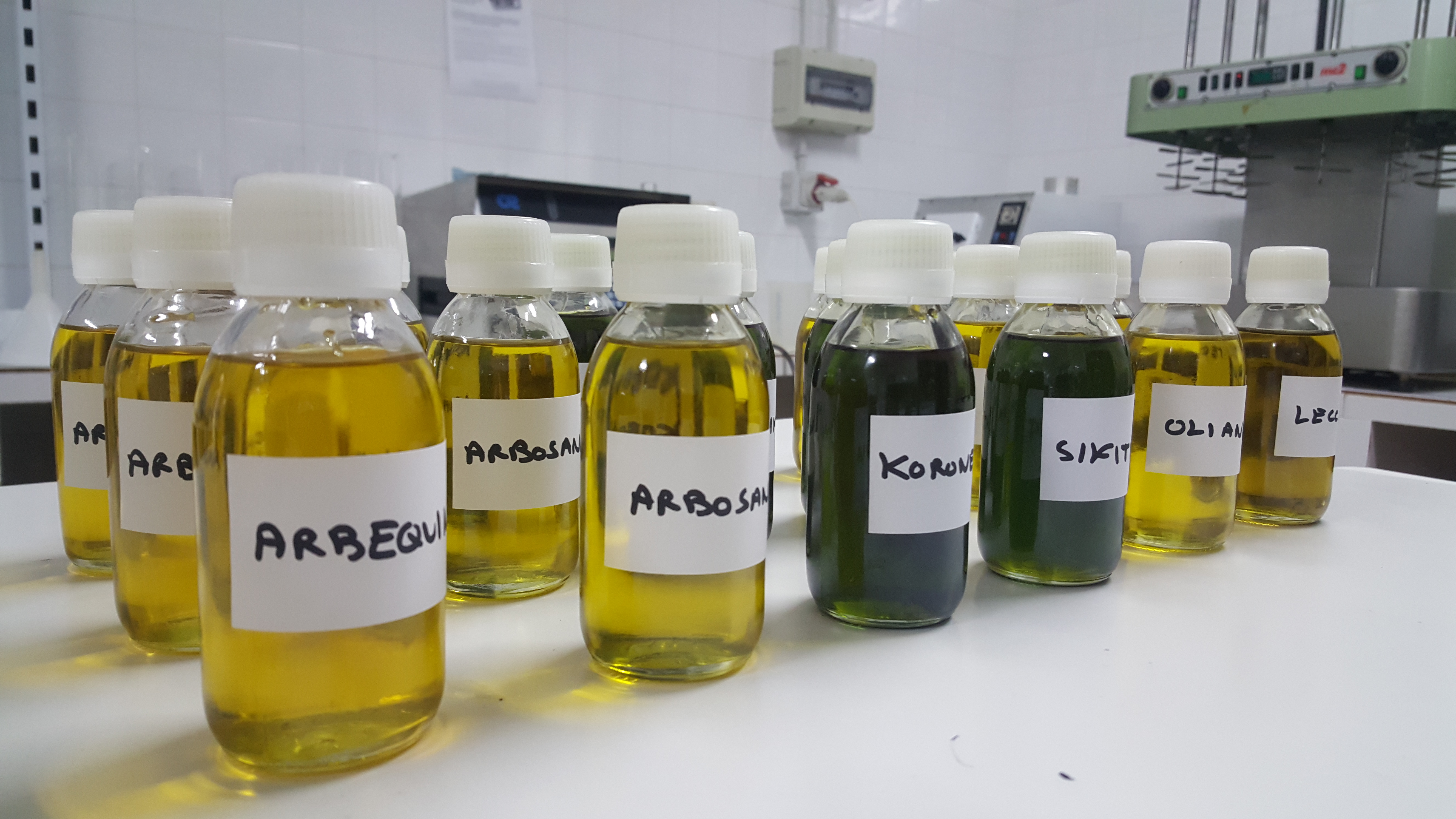 Aceites de oliva virgen extra de variedades usadas en olivar en seto