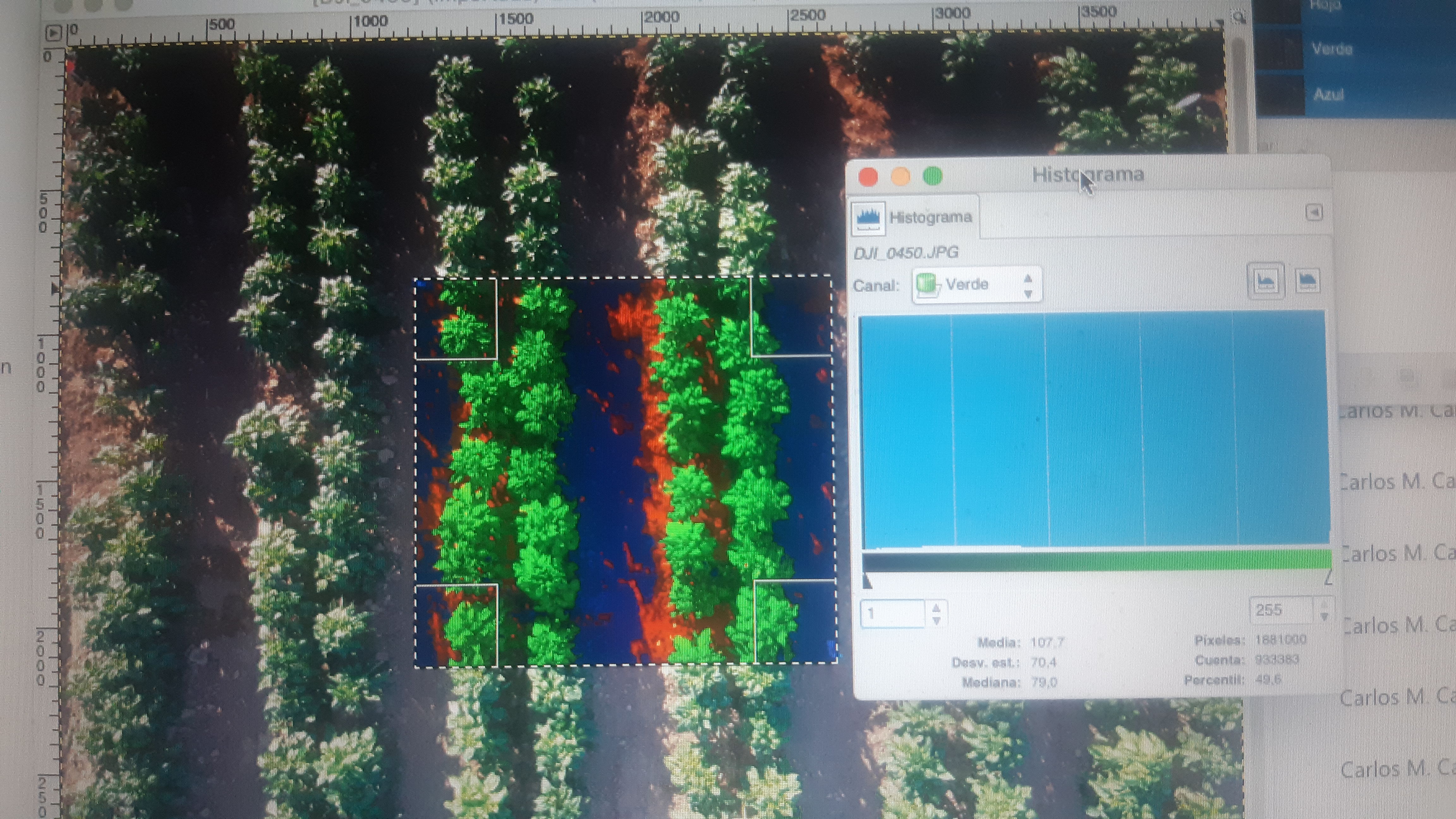 Medida de desarrollo de cultivo de pimiento a partir de imágenes aéreas obtenidas con drones