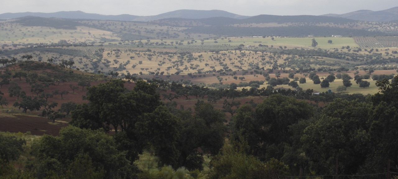 General view of the Dehesa