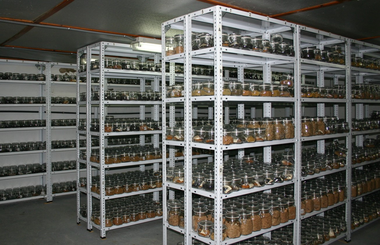 Germplasm Bank Conservation Chamber