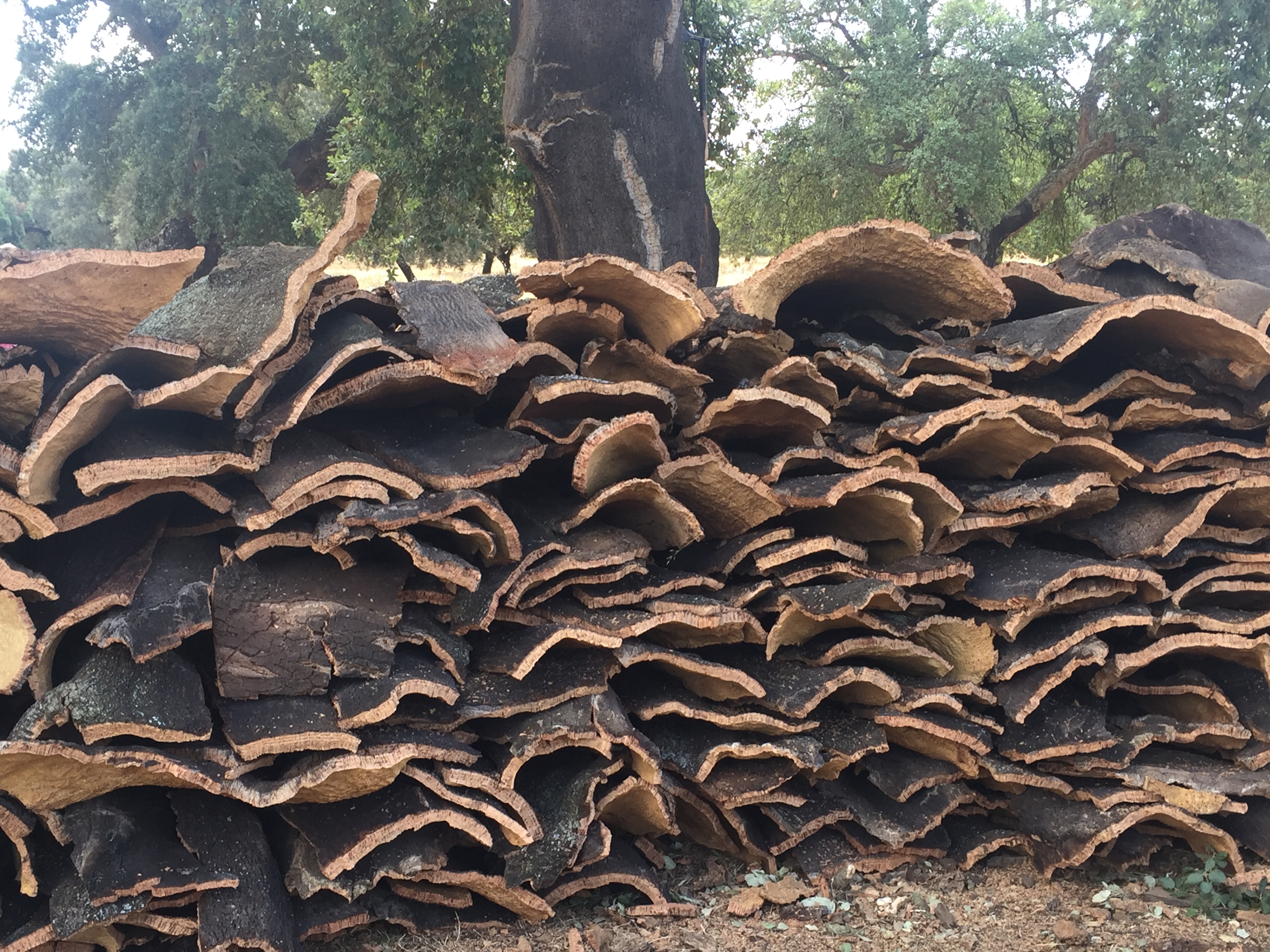 Cork pile