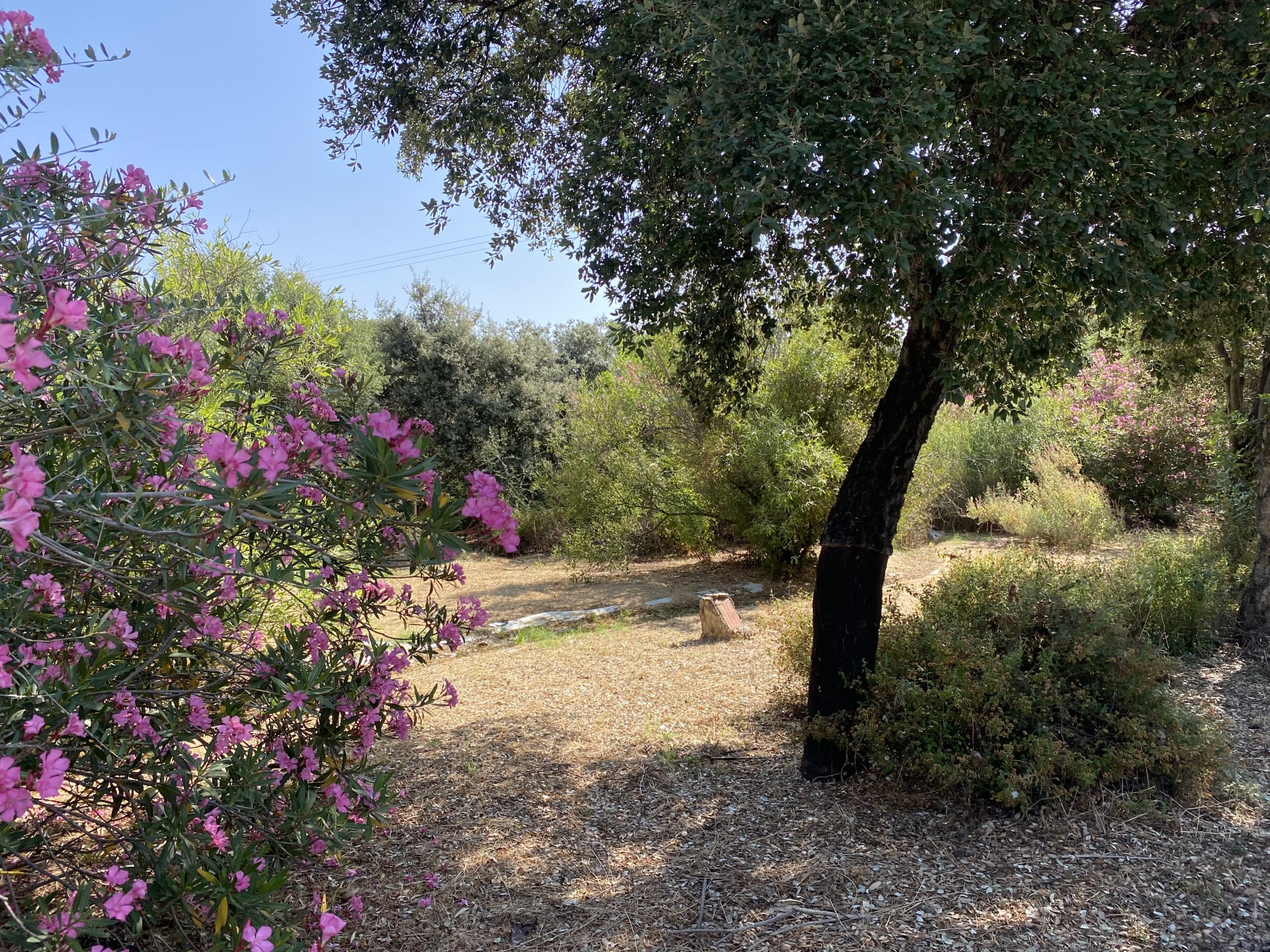 Garden with Various Extremadura Ecosystems. ICMC. Mérida