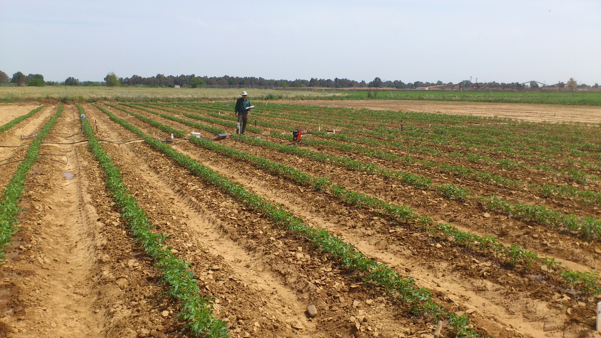 Área de agronomía de cultivos leñosos y hortícolas