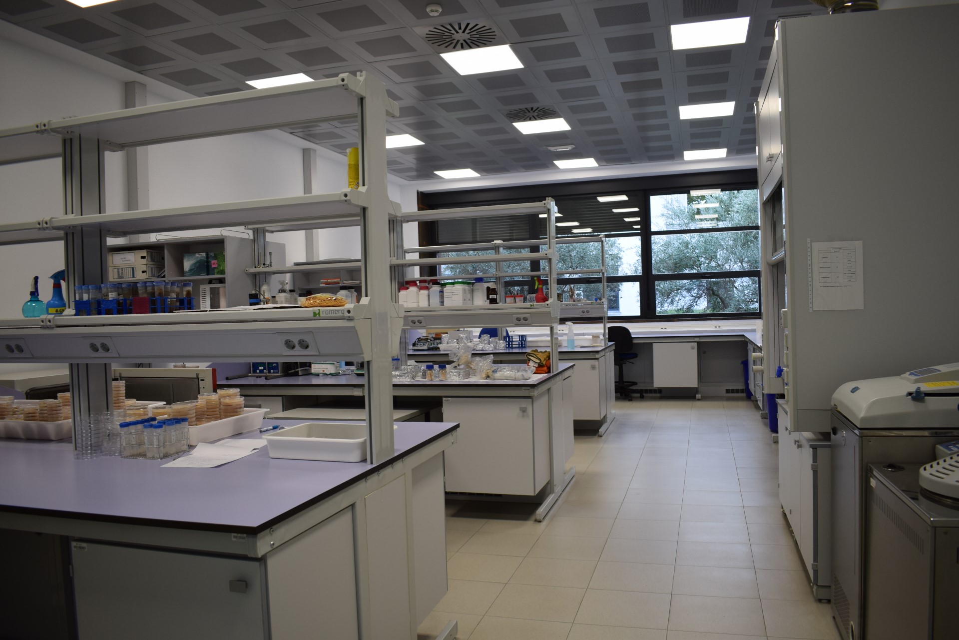 Laboratorio de hongos fitopatógenos