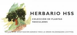 Herbario HSS CICYTEX