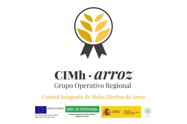 CIMh-ARROZ