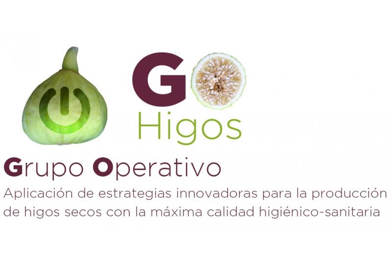 GO HIGOS