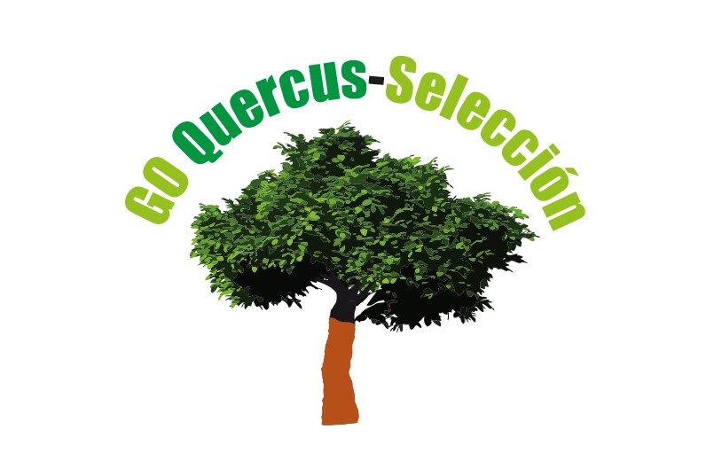 QUERCUS SELECCIÓN