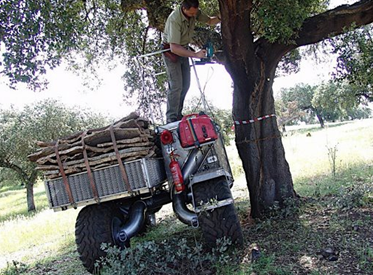 Carguero forestal teledirigido, prototipo L3