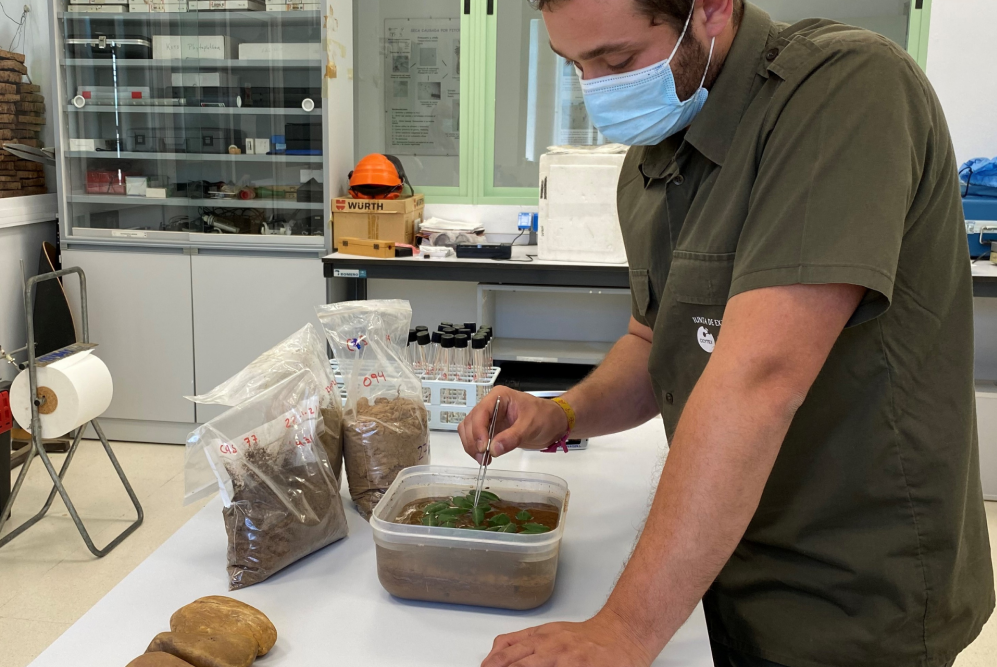 Laboratorio de recursos forestales