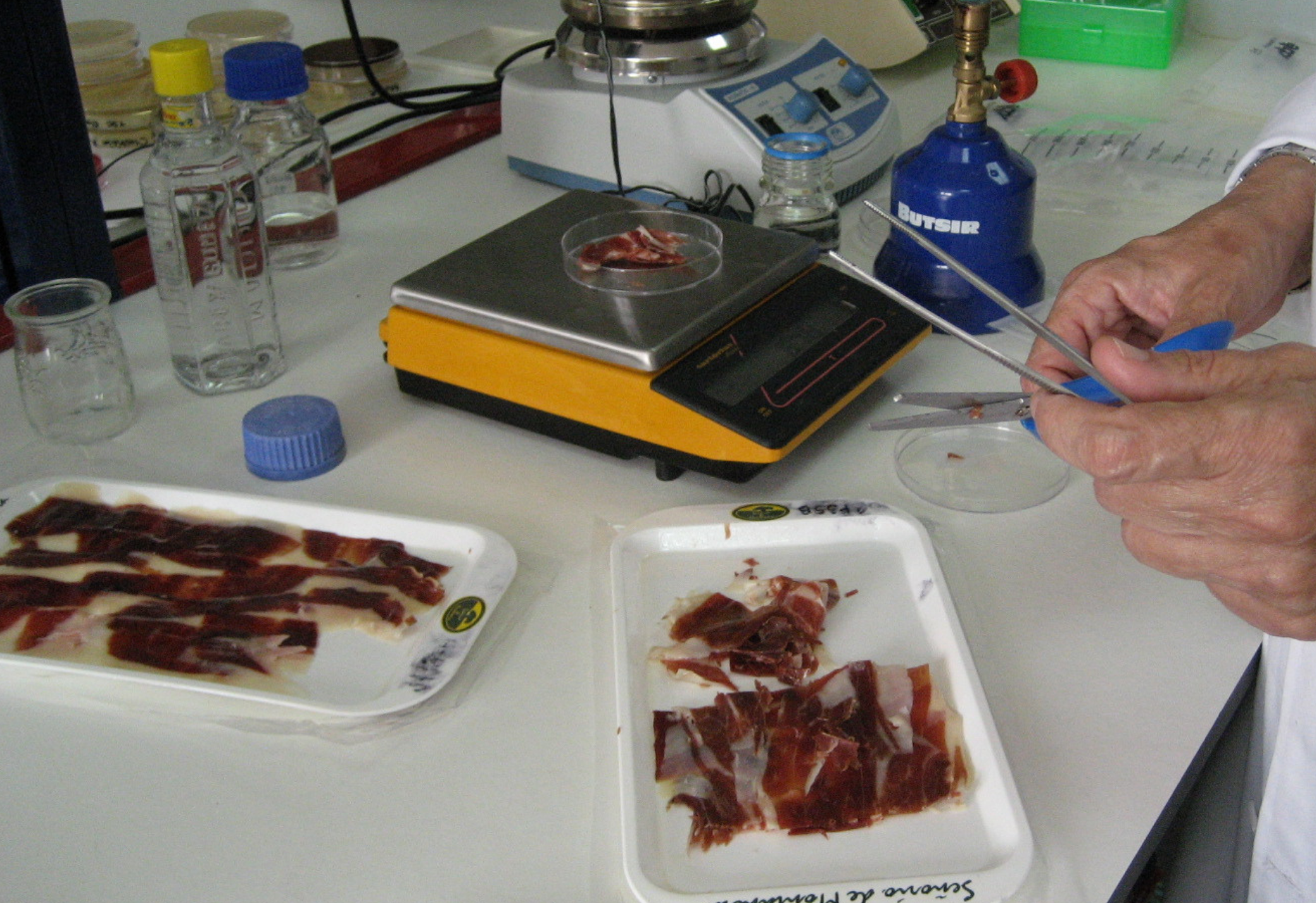 Laboratorio de carne y productos cárnicos