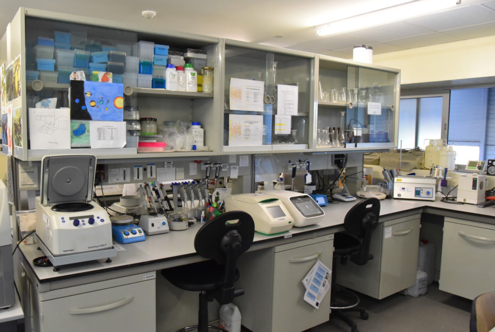 Laboratorio de micropropagación y cultivo in vitro