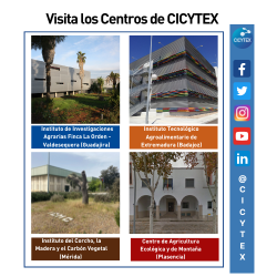 Acceso a la página del protocolo y anexos para las visitas a los centros de cicytex